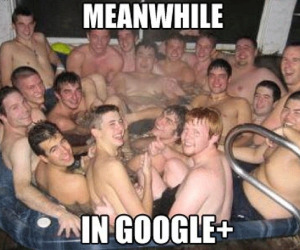 Google+ opens to all