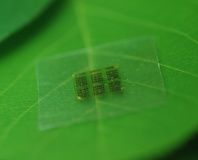 Researchers demonstrate wood-based semiconductors