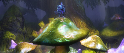 Trine Review