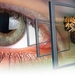 ATI brings high-end multimedia entertainment to PCI-Express