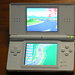 DS Lite will cost $130, released June 11 in the US