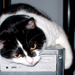Mind-reading computers