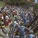 Medieval 2: new screenshots released
