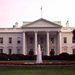 A new year, new congress, and new laws?