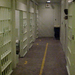 Myspace leads to capture of teenage thieves