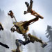 HL2: Orange Box delayed on PS3?
