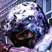 Lost Planet Sequel on the way?
