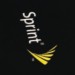 Sprint to offer pocket 3G router
