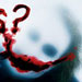 Dark Knight game revealed