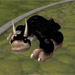 Spore Competition winner announced!