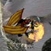 New Baldur's Gate, Neverwinter Nights planned