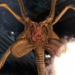 Game release date update!