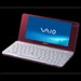 Sony joins the Netbook party as expected