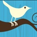Twitter users attacked by phishers