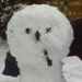 Snow ruins Battlefield, Army of Two announcement