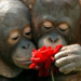 Scientists working on smell-device for games