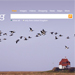 Microsoft launches Bing search engine