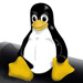 PS3 update removes Linux support