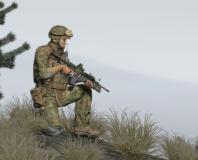 Arma 2 going free to play