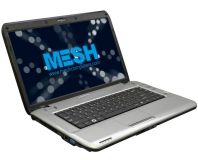 Mesh Computers in administration