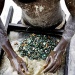 Intel promises conflict-free chip by 2013