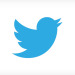 Twitter files for "secret" IPO