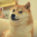 The Real Doge Uncovered