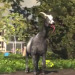 Goat Simulator coming to Steam for full release