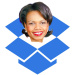 Dropbox criticised for Rice board membership