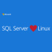Microsoft announces SQL Server for Linux